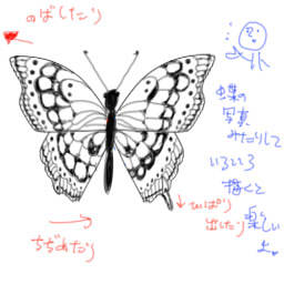 完了しました 蝶の書き方 蝶の書き方 簡単